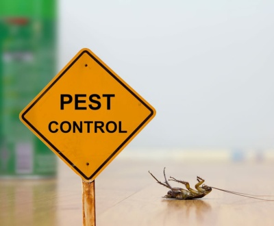Top Strategies for Effective SEO for Pest Control Companies